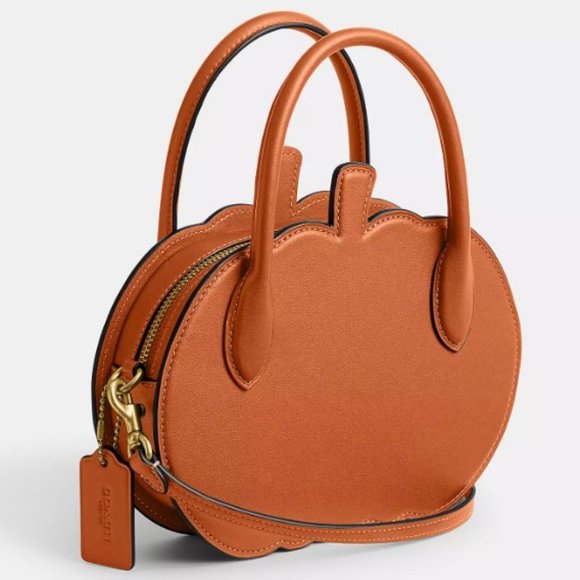 NWT Coach Fall Pumpkin Bag Orange Runway Leather Purse Zippered Case NYFW Handle - Picture 2 of 14